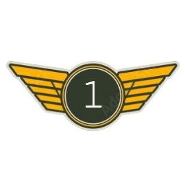 First Officer | Level 1