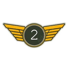 Fist Officer | Level 2