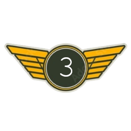 First Officer | Level 3
