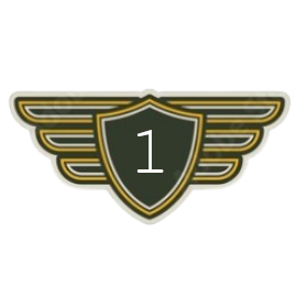 Junior First Officer | Level 1