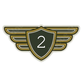 Junior First Officer | Level 2