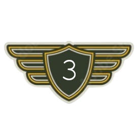 Junior First Officer | Level 3