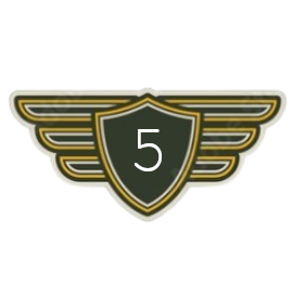 Junior First Officer | Level 5