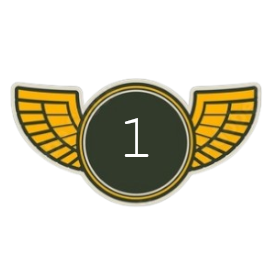 Senior First Officer | Level 1