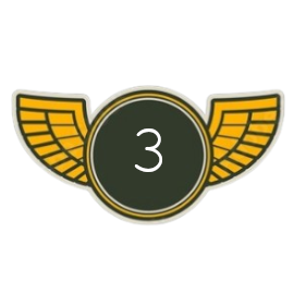 Senior First Officer | Level 3